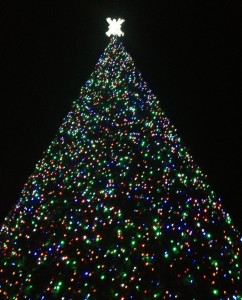 Christmas Tree Lighting in Delray Beach, Florida