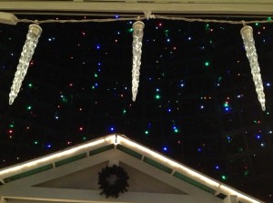 Inside the Delray Beach Christmas Tree