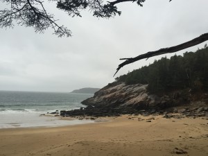 Sand Beach, Acadia, Maine