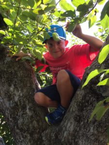 Boy in a Tree at Russell Orchards