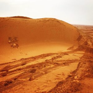 Red Sand Desert, UAE