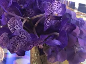 Purple Orchids, Burj Al Arab, Dubai